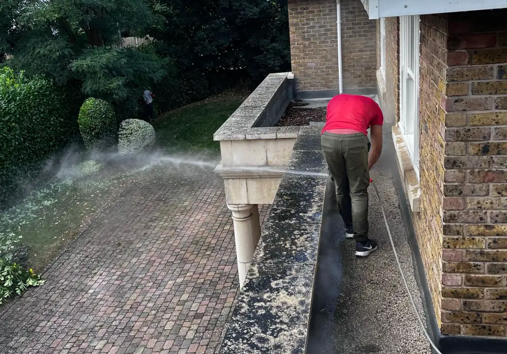 steam cleaning company surrey